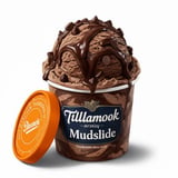 Tillamook Mudslide
