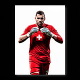 Switzerland