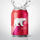 Polar Seltzer