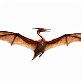 Quetzalcoatlus